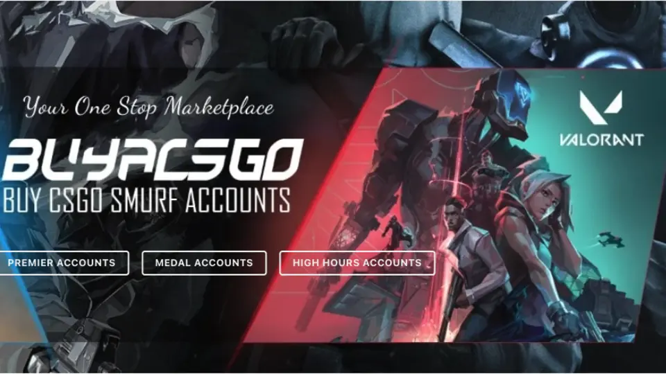 Buy ACS GO project